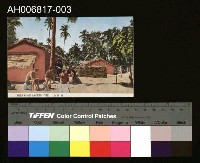 藏品(海南島明信片)的圖片